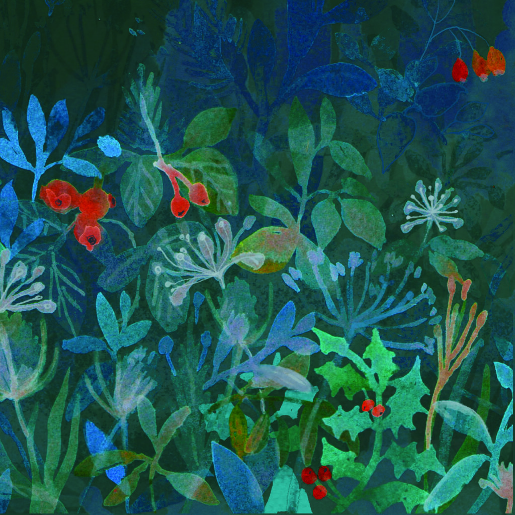 Christmas Holly hedgerow