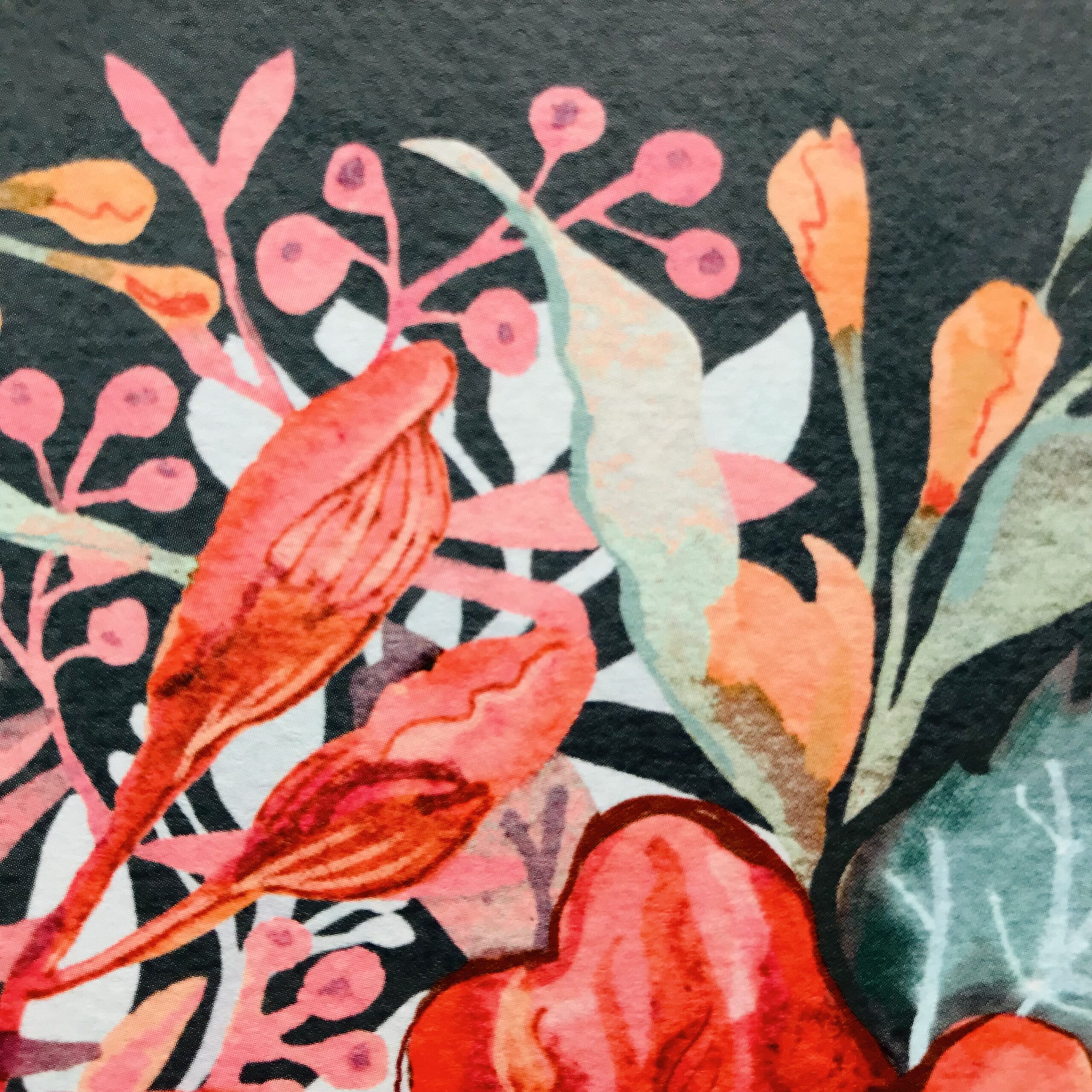 9EF0C1F2 6DE8 4BC7 B5E5 BCA450D7D750 1 201 a scaled