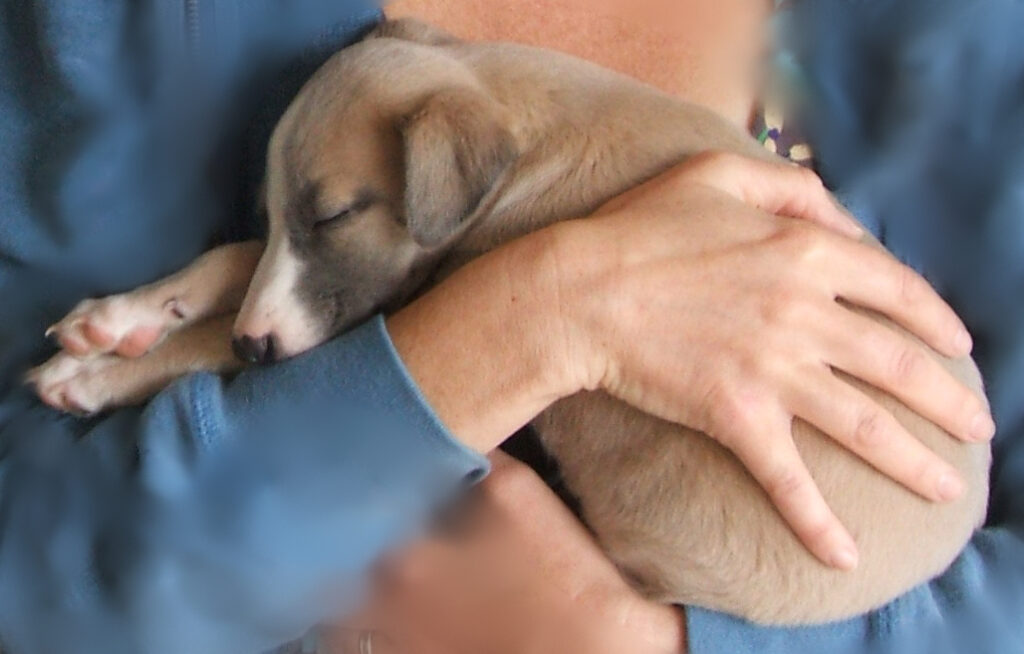 Millie VHD First Day